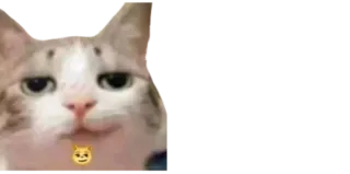 😏 cat, animal, sticker, emoji telegram sticker