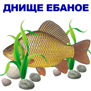 🐠 poisson, sous-marin, aquatique, nature, animaux whatsapp sticker