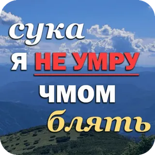 😤 сука
Я НЕ УМРУ
ЧМОМ
Блять palavrões, linguagem ofensiva, xingamentos, russo, montanhas telegram sticker