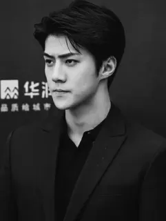 ➖ homem, retrato, coreano, preto e branco, ator, terno telegram sticker