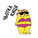 Котики «Сільпо» || Silpo Spring Cats telegram stickers