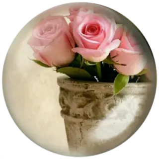 😊 rosen, blumen, floral, rosa, strauß, vase whatsapp sticker