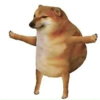 🐕 doge, dog, meme, cheems, animal, pet telegram sticker