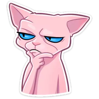 🧐 cat, sphynx cat, thinking, doubtful, funny, sticker, animal, meme telegram sticker