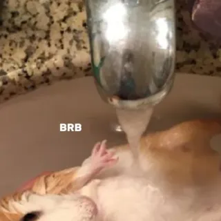 🛁 BRB hamster, bain, eau, mignon, animal telegram sticker