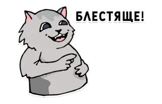 👌 БЛЕСТЯЩЕ! cat, animal, russian, text, meme whatsapp sticker