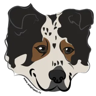 Adopt a Pet / vol.2 whatsapp stickers