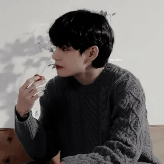 🫐 V V, BTS, K-pop, cantante, masculino, suéter, flor telegram sticker