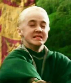 🐍 Draco Malfoy Harry Potter mago, slytherin, estudiante, magia, escuela telegram sticker