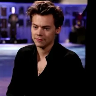 🌸 Harry Styles harry styles, chanteur, portrait, célébrité, personne telegram sticker