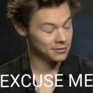 😑 Harry Styles EXCUSE ME meme, funny, excuse me, reaction, harry styles, celebrity telegram sticker