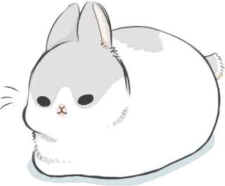 🐇 królik, króliczek, słodki, zwierzę, zwierzak telegram sticker