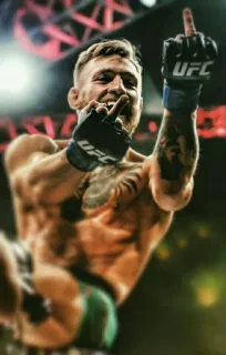 🖕 Conor McGregor UFC 战士, mma, 体育, 中指, 冒犯 telegram sticker