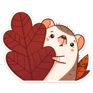 😬 hedgehog, leaves, autumn, cute, animal telegram sticker
