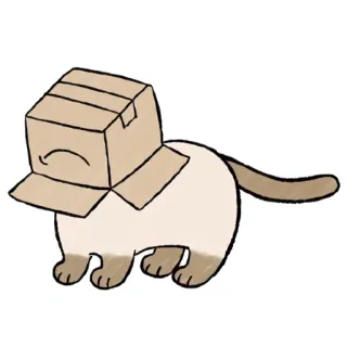 🙃 cat, box, cardboard, animal, cute, pet, domestic telegram sticker