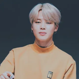 🎻 Jimin kpop, penyanyi, idola, jimin, bts telegram sticker