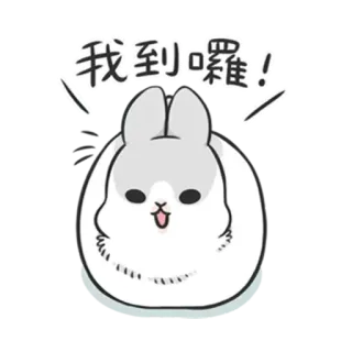 ✳️ 我到囉! kelinci, lucu, binatang, stiker telegram sticker