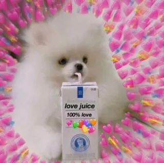 🥤 love juice
100% love สุนัข, น้ำหวานแห่งความรัก, หัวใจ, น่ารัก, ลูกสุนัข, กล่องน้ำผลไม้ telegram sticker