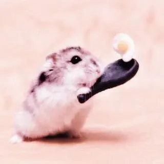 🤏 hamster, spoon, egg, animal, cute telegram sticker