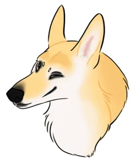 😉 anjing, hewan, corgi, peliharaan, lucu telegram sticker