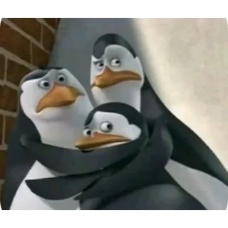 🤨 Penguins of Madagascar Madagascar whatsapp sticker