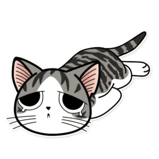 😢 gatto, triste, piangere, carino, adesivo telegram sticker
