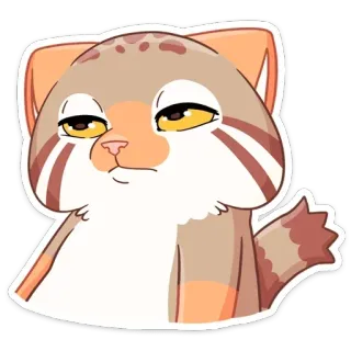 😐 chat, doigt d'honneur, geste obscène, mème, drôle, autocollant telegram sticker