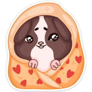 👀 기니피그, 담요, 귀여운, 동물, 하트, 애완동물 telegram sticker