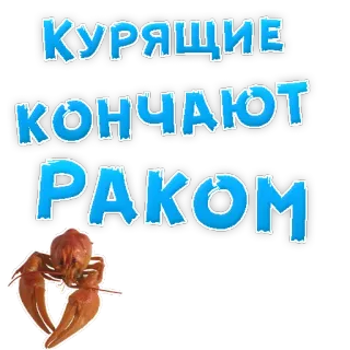 👌 КУРЯЩИЕ
КОНЧАЮТ
РАКОМ Fumar, Ruso, Texto, Humor, Cangrejo telegram sticker