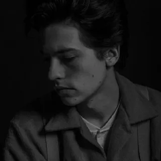🖤 Cole Sprouse cole sprouse, aktor, czarno-biały, portret, riverdale telegram sticker