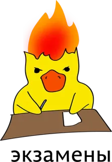 😢 duck, cartoon, fire, angry, writing, desk telegram sticker