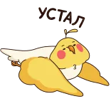 😫 calopsitta, uccello, animale, carino, volante, animale domestico whatsapp sticker
