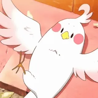 😏 птица, корелла, животное, белый, милый, попугай, питомец telegram sticker