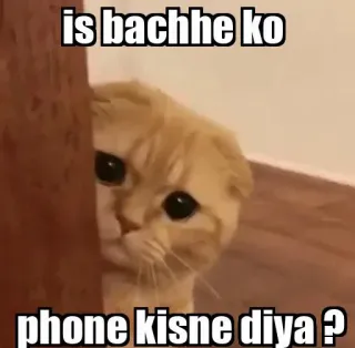 👀 is bachhe ko phone kisne diya ? gato, meme, gracioso, animal, mascota telegram sticker