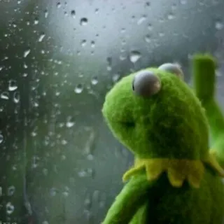 🐸 Kermit Kermit la rana, triste, pioggia, finestra, meme, solo telegram sticker