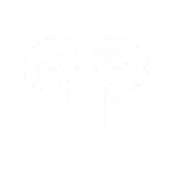 🎧