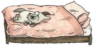 💤 cat, bed, sleep, pillow, lazy, cartoon whatsapp sticker