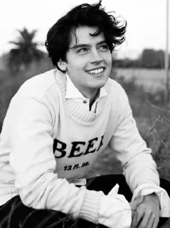 🖇 BEER birra, maglione, ritratto, Cole Sprouse telegram sticker