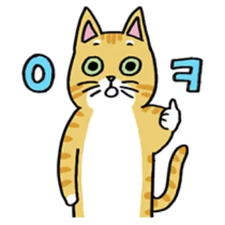 🐈 ㅇㅋ cat, okay, thumbs up, korean, ok telegram sticker