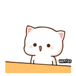 🙃 chat, mignon, animal, chaton, dessin animé, adorable whatsapp sticker