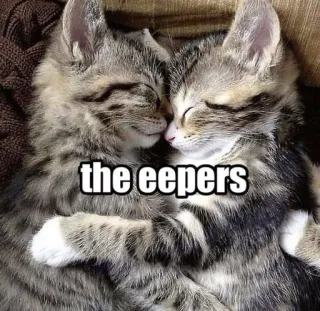 🛏️ the eepers telegram sticker