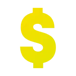 💸