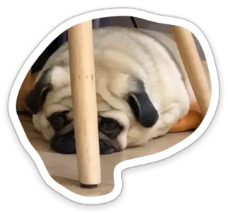 😔 pug, dog, animal, pet, cute, sleepy, sticker telegram sticker