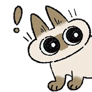 ❗️ cat, animal, sticker, cute, cartoon, exclamation mark telegram sticker