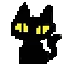 🐈⬛