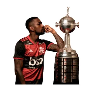 🤔 football, football américain, athlète, trophée, Flamengo, sport, championnat, célébration telegram sticker