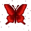 🦋