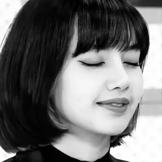 🌟 Lisa Lisa, Blackpink, piosenkarka, celebrytka, K-pop telegram sticker