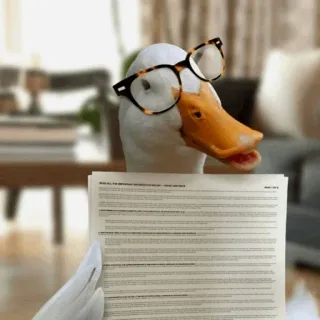 🤓 READ ALL THE IMPORTANT INFORMATION BEFORE YOU SAVE AND INVEST pato, lendo, óculos, papel, informação telegram sticker