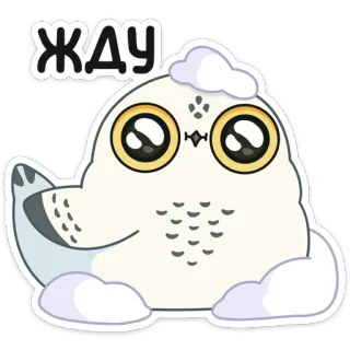 ⏳ ЖДУ coruja, fofo, esperando, animal, coruja-das-neves telegram sticker